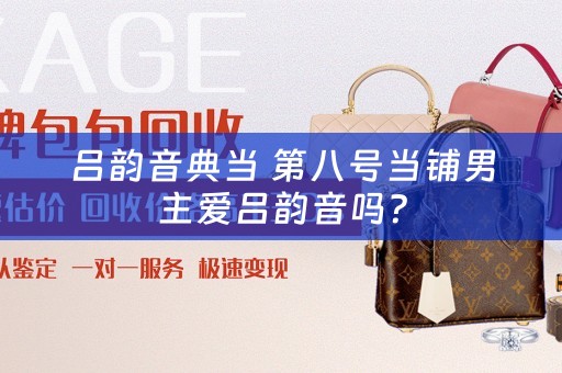 吕韵音典当 第八号当铺男主爱吕韵音吗？
