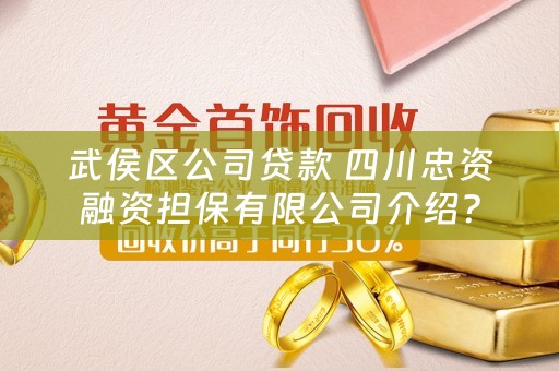 武侯区公司贷款 四川忠资融资担保有限公司介绍？