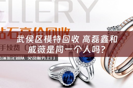 武侯区模特回收 高磊鑫和戚薇是同一个人吗？