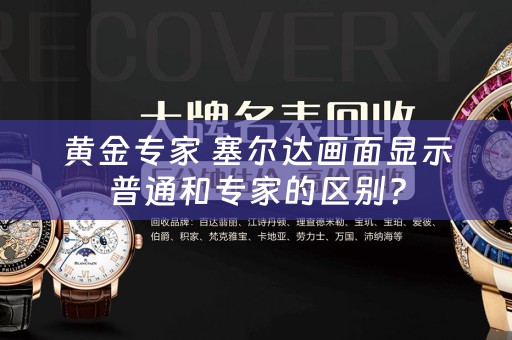 黄金专家 塞尔达画面显示普通和专家的区别？