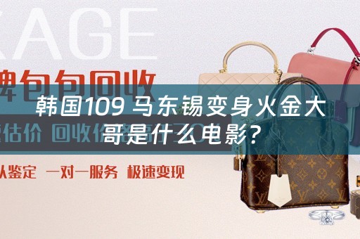 韩国109 马东锡变身火金大哥是什么电影？